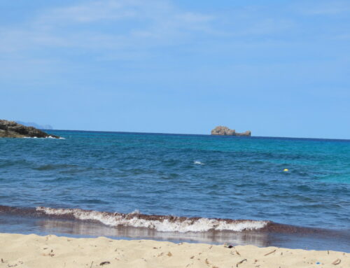 Rundwanderung Cala Mesquida zur Cala Torta