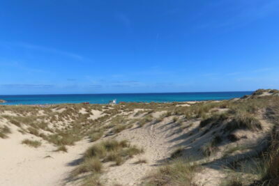 Stranddünen der Cala Mesquida Mallorca