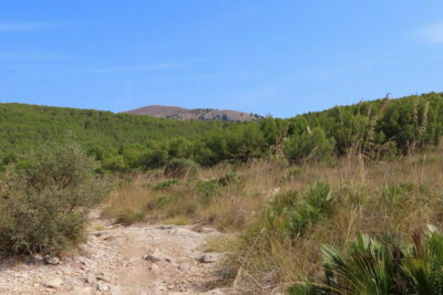 Wanderweg Cala Torta Mesquida