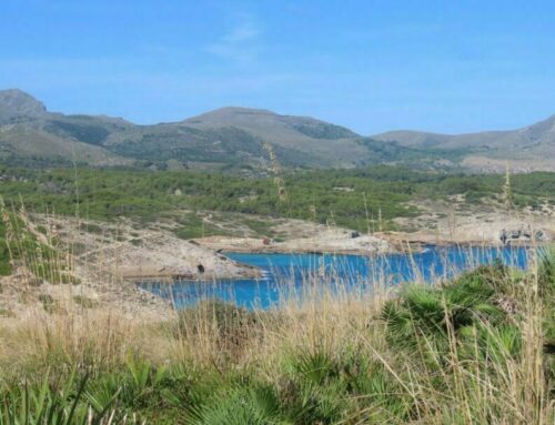 Wanderung Cala Agulla zur Cala Torta