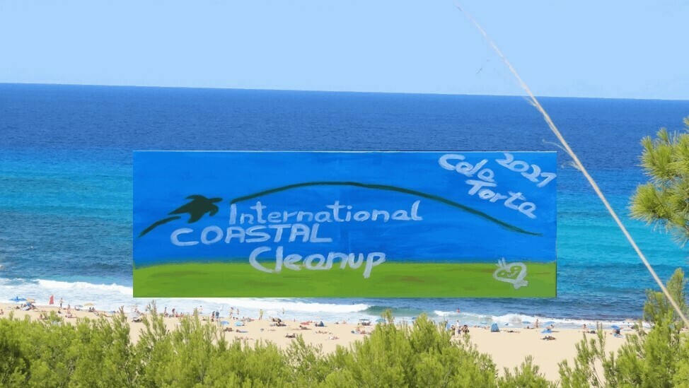 Coastal Cleanup Der grüne Fussabdruck