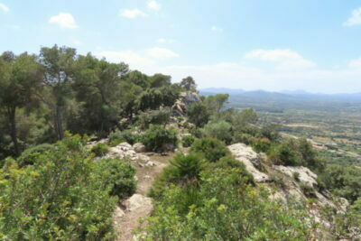 Talblick Cala Ratjada Mallorca