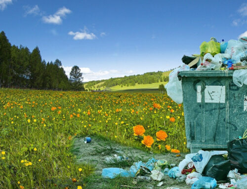 Wie bio ist Bioplastik?