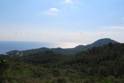 Ausblick zum Meer Mallorca