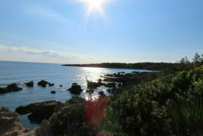 Bucht Cala Ratjada Mallorca 