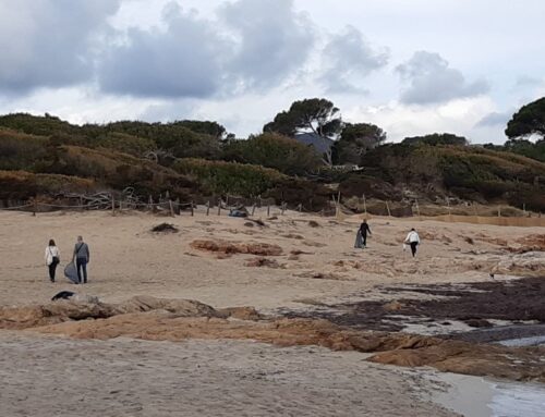 Strandmüll sammeln an der Cala Agulla