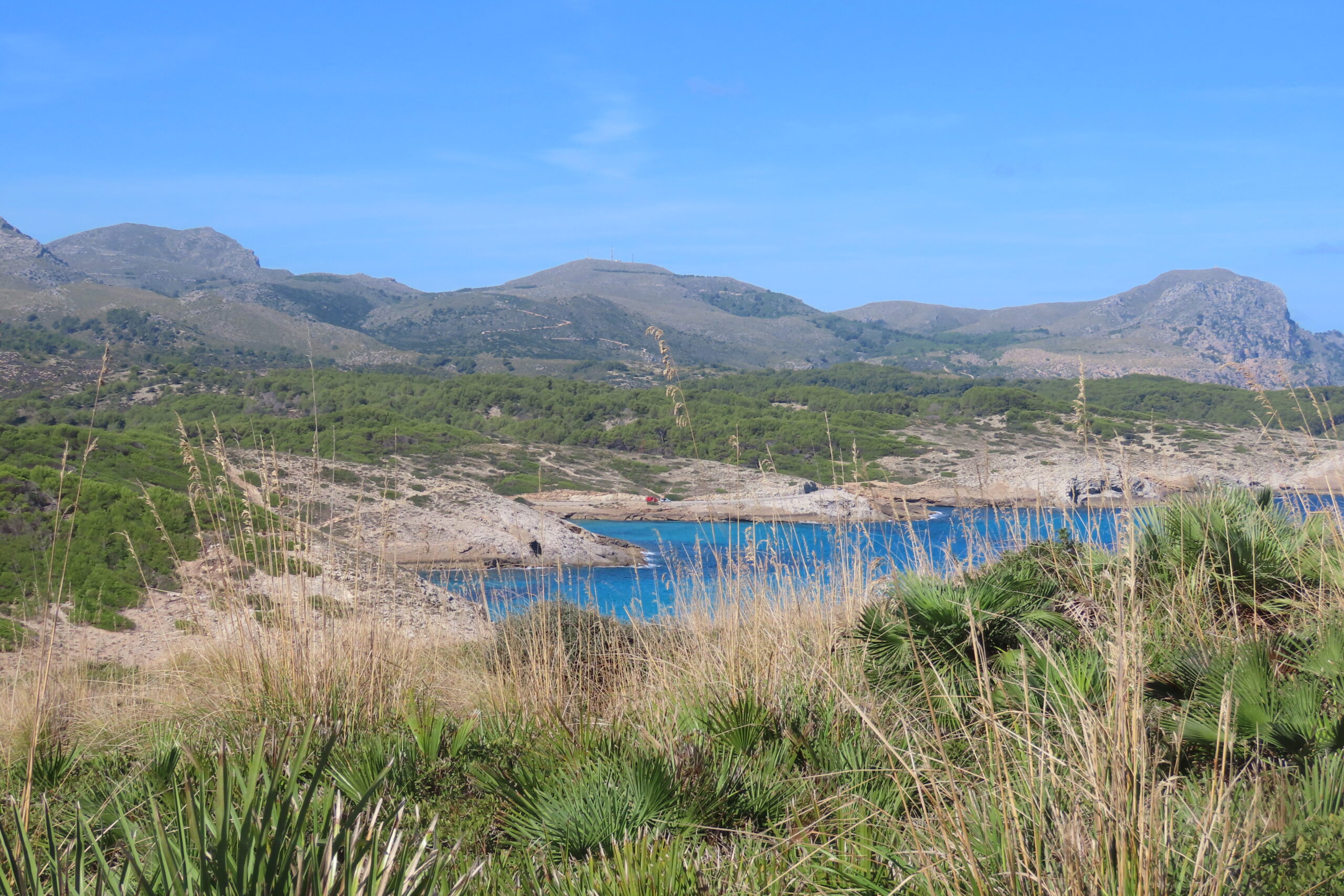 Sonne Meer Mallorca Der grüne Fussabdruck