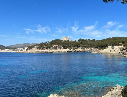 Mallorca – Sommer, Sonne, Meer und Sorglosigkeit?