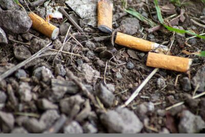 Zigaretten Wald Brandgefahr